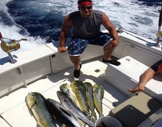 dorados en cubierta